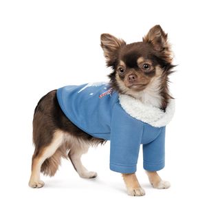 Толстовка Tinsel S для собак