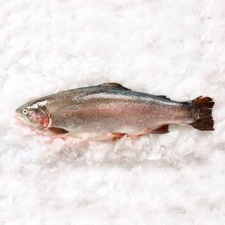 ФОРЕЛЬ СВЕЖАЯ (1 кг)