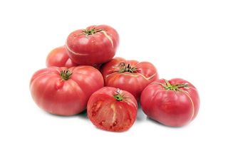 2201345 პომიდორი ვარდისფერი  