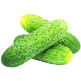 Огірок тепличний, 100г