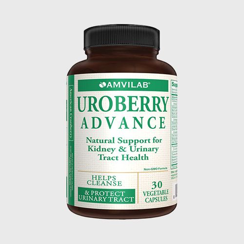 საშარდე სისტემა 