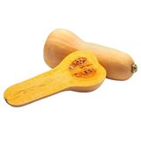 Гарбуз Баттернат ваговий