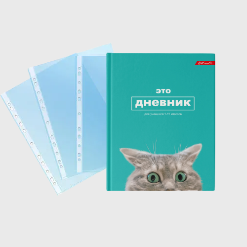 Օրագիր և ֆայլ