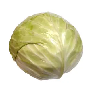 КАПУСТА