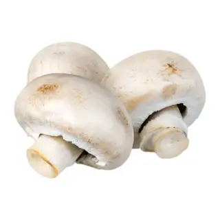 სოკო ქამა