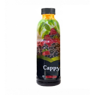 CAPPY წვენი ტყის კენკრის 1ლ/5449000288820