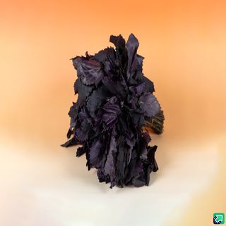 რეჰანი 100g