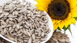 მზესუმზირა გარჩეული/outstanding Sunflower 500 G