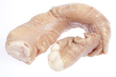 Конина и оленина.