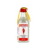 Джин Біфітер 40% 005л