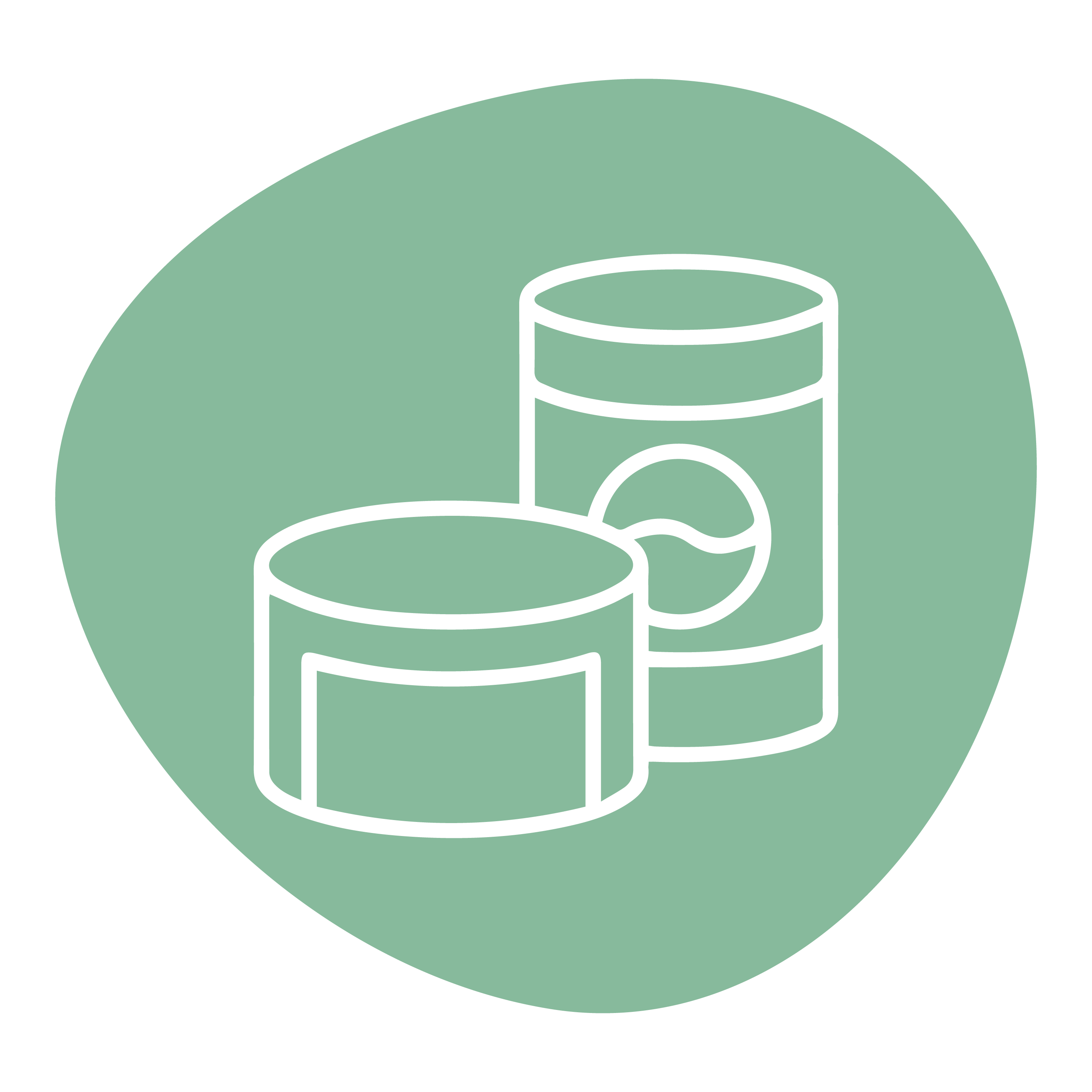 კონსერვაცია