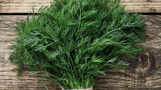 კამა/dill 100გრ