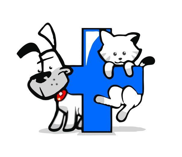 Ветеринарная аптека.