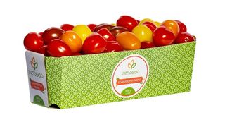 პლანტა - ნაირფერი ჩერი პომიდორი 0,500 გრ.