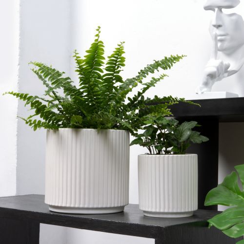 Горщики, опори та підставки для квітів