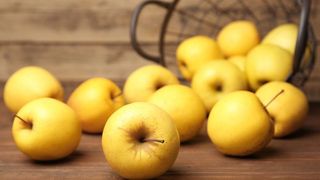 ვაშლი გოლდენი ყვითელი ქართული 500გრ