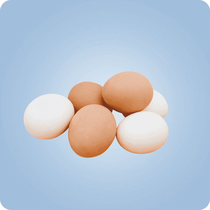 კვერცხი