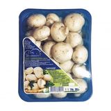 Гриби Печериці 0,5 кг 1 гат