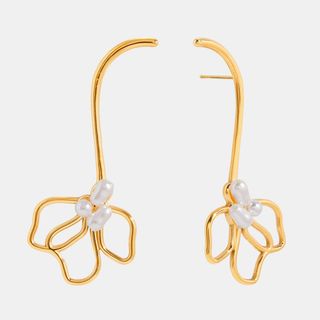Titanium Gold Plated Earrings