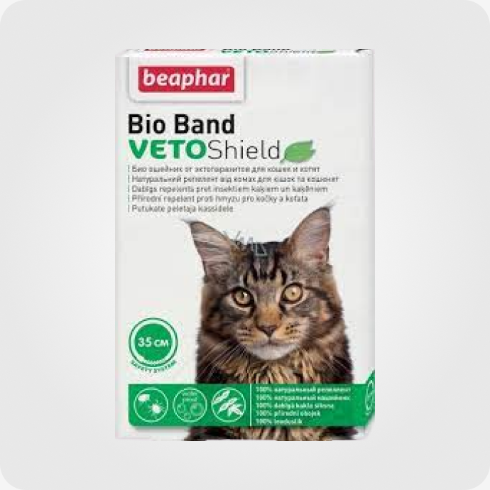 კატის საყელოები და საბელები