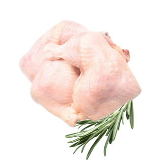 Հավի ազդր կգ