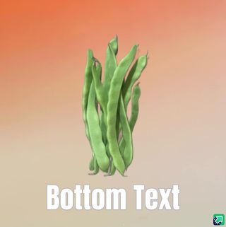 მწვანე ლობიო