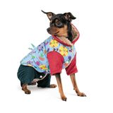 Костюм дівчинка Alisa XS для собак