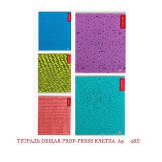 ТЕТРАДЬ ОБЩАЯ PROF-PRESS КЛЕТКА В АССОРТИМЕНТЕ А5 48Л