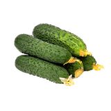 კიტრი მინი ქართული / 500 გრ