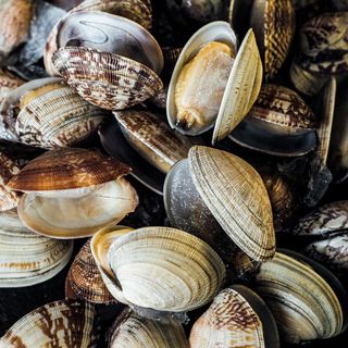 მოლუსკი ვონგოლე 1 კგ