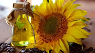 მზესუმზირის ზეთი/sunflower Oil 500მლ