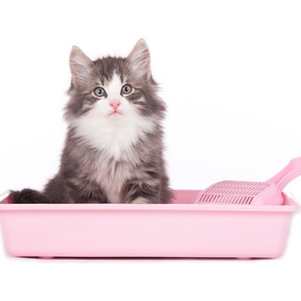 Гігієнічні наповнювачі.