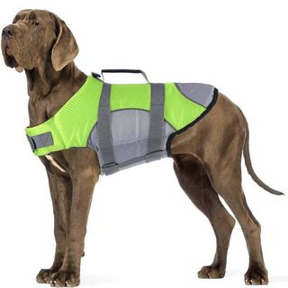 Жилет YIWU для собак вагою 7-10кг для плавання M 40-48/41-63/30см