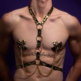 Комплект "Связь страсти" [Леопардовый ] (23.1.55)