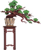 3D ფაზლი/Evergreen Pine Bonsai