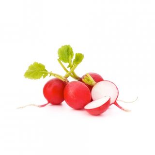 Редис 0,5 кг 1 гат