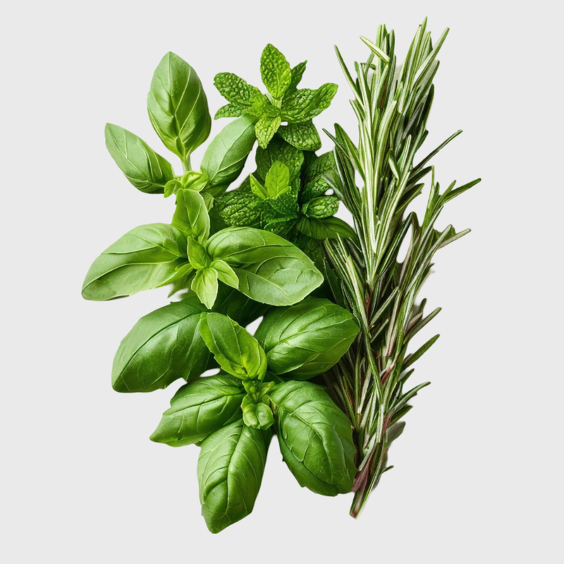 მწვანილი