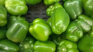 მწვანე ბულგარული 500გრ