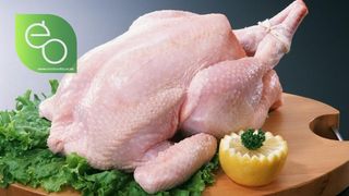 ქათამი 1ც (1.5-2გრ) მომენტალური მოხარშვა