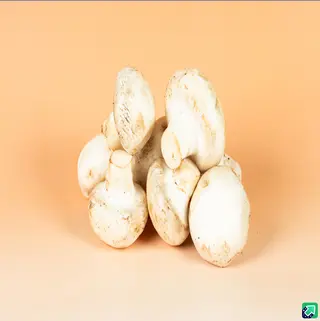 სოკო 500 g