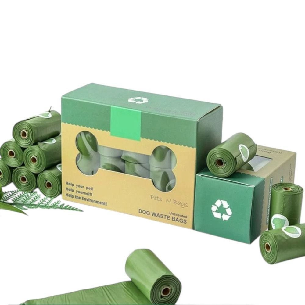 ძაღლის ჰიგიენა