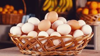 სოფლის კვერცხი/village Eggs 1ც