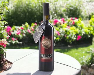 ილერკო შუმი / Ilerco Shumi