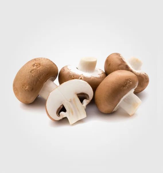 Грибы и Зелень