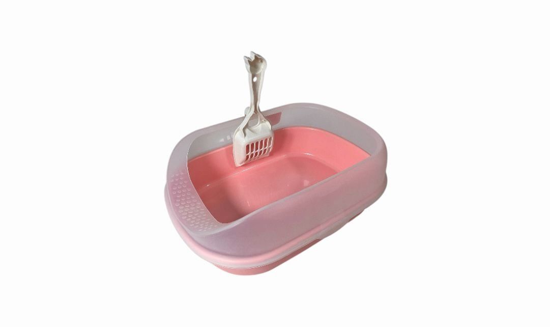 კატის ჰიგიენა