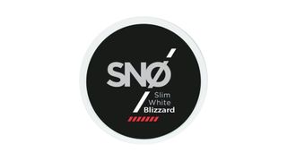 SNO BLIZZARD 20 MG (მენთოლი)