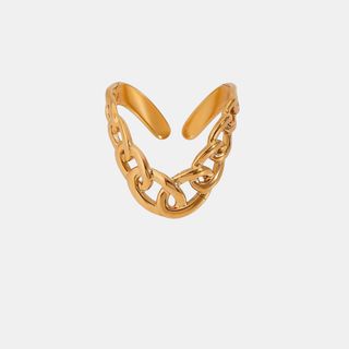 Titanium Gold Plated Ring