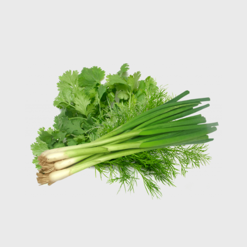 Свежая зелень