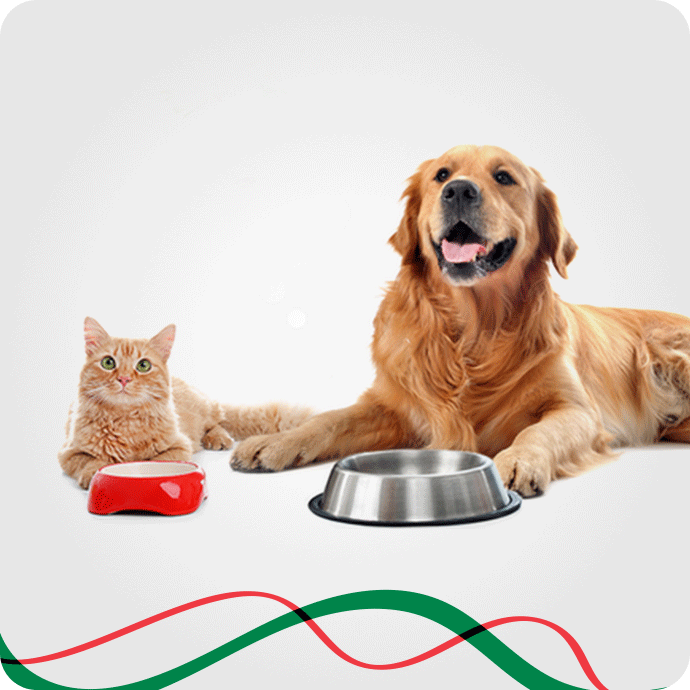 კატის კვება