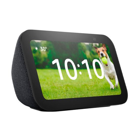Chromecasts & Smart Assistant